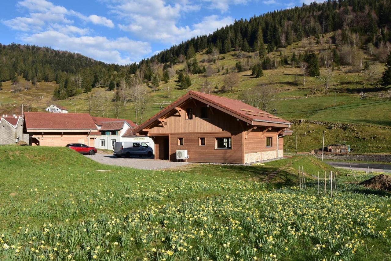 Tout Neuf - Chalet Pebie 8 A 10 Pers Avec Sauna La Bresse Exterior photo